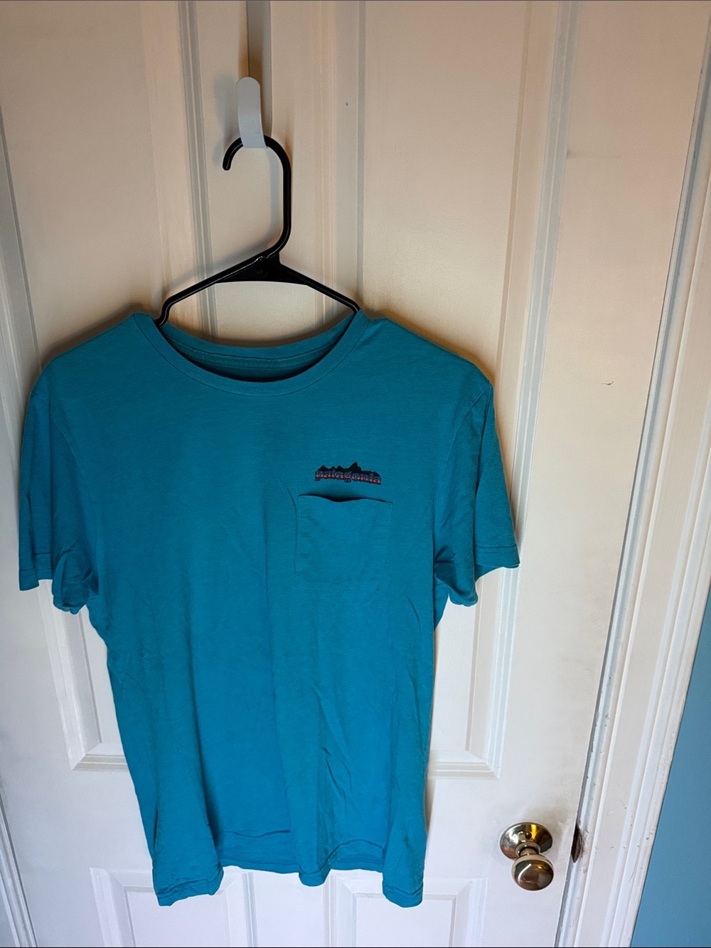 Men's Size M Slim Fit Teal Patagonia T-Shirt